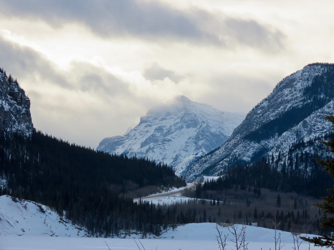Prairie View Trail-卡那那斯基斯必去景点