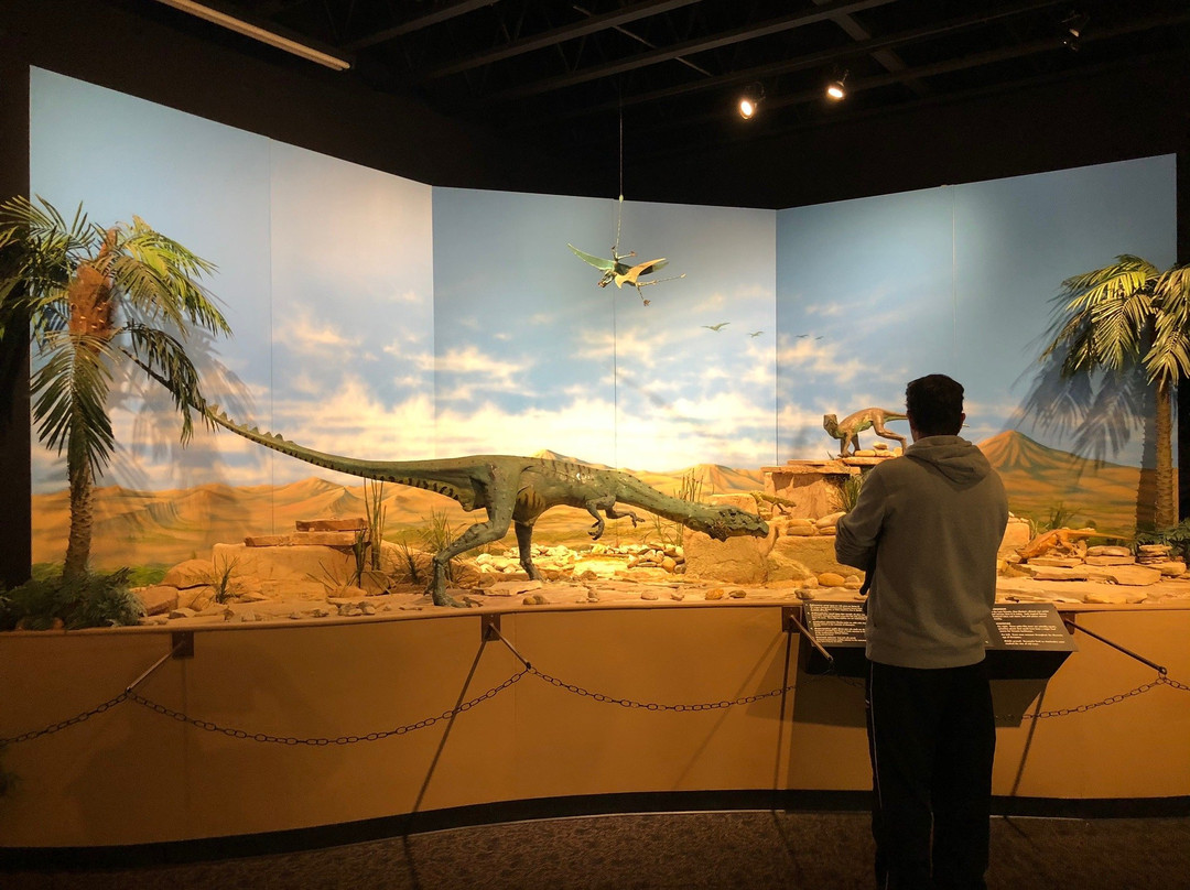 Mesalands Community College's Dinosaur Museum and Natural Sciences Laboratory-图克姆卡里必去景点
