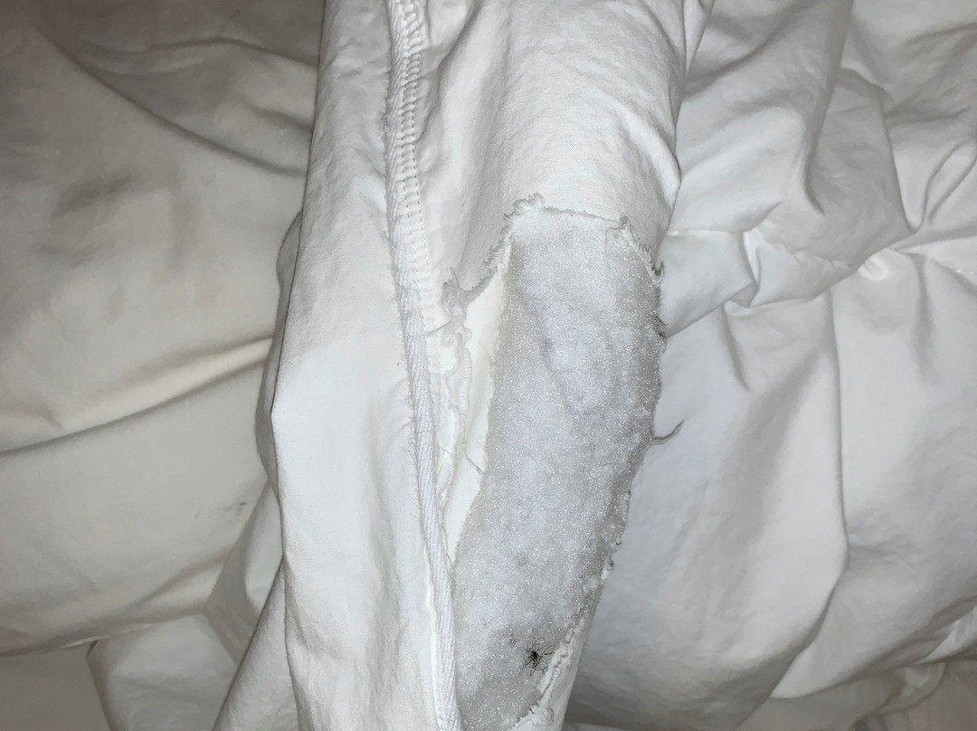 Baymont by Wyndham Memphis East主图