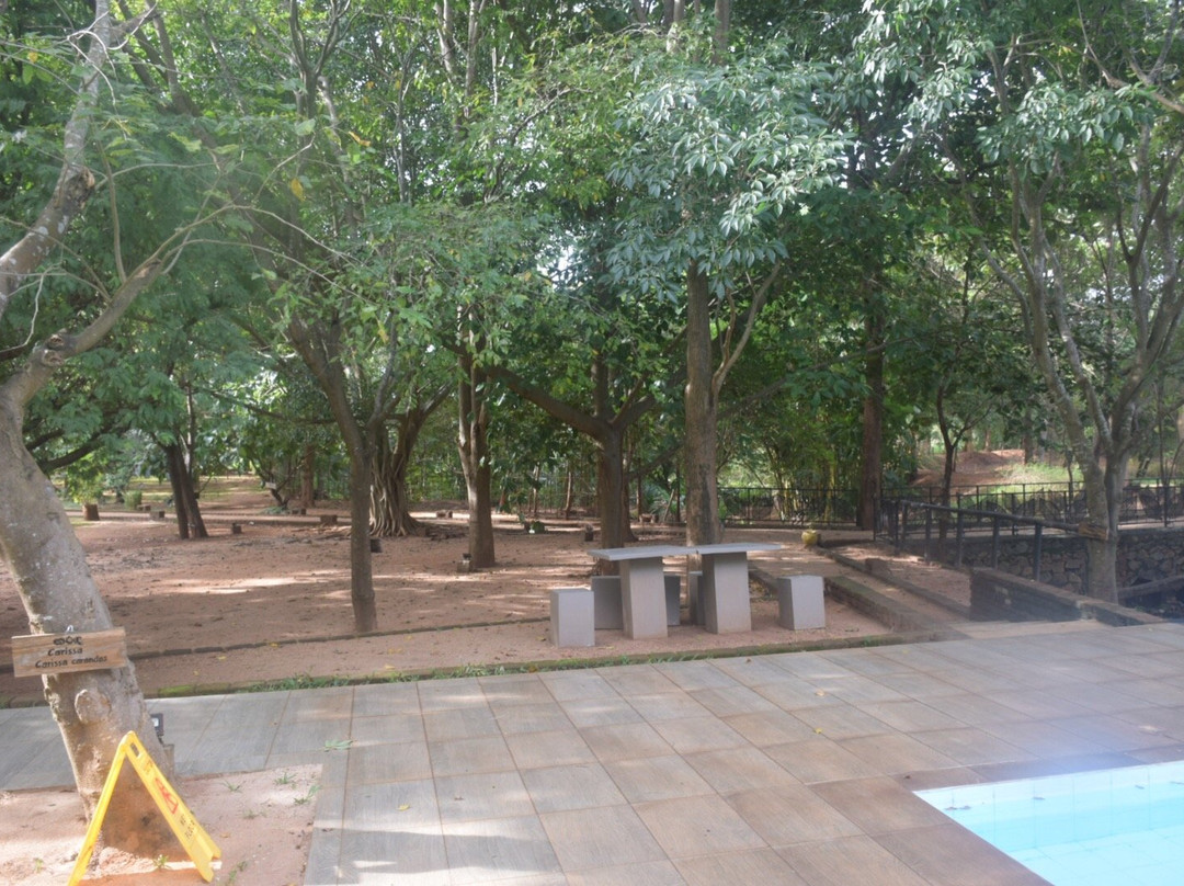 Rangiri Dambulla Resort主图