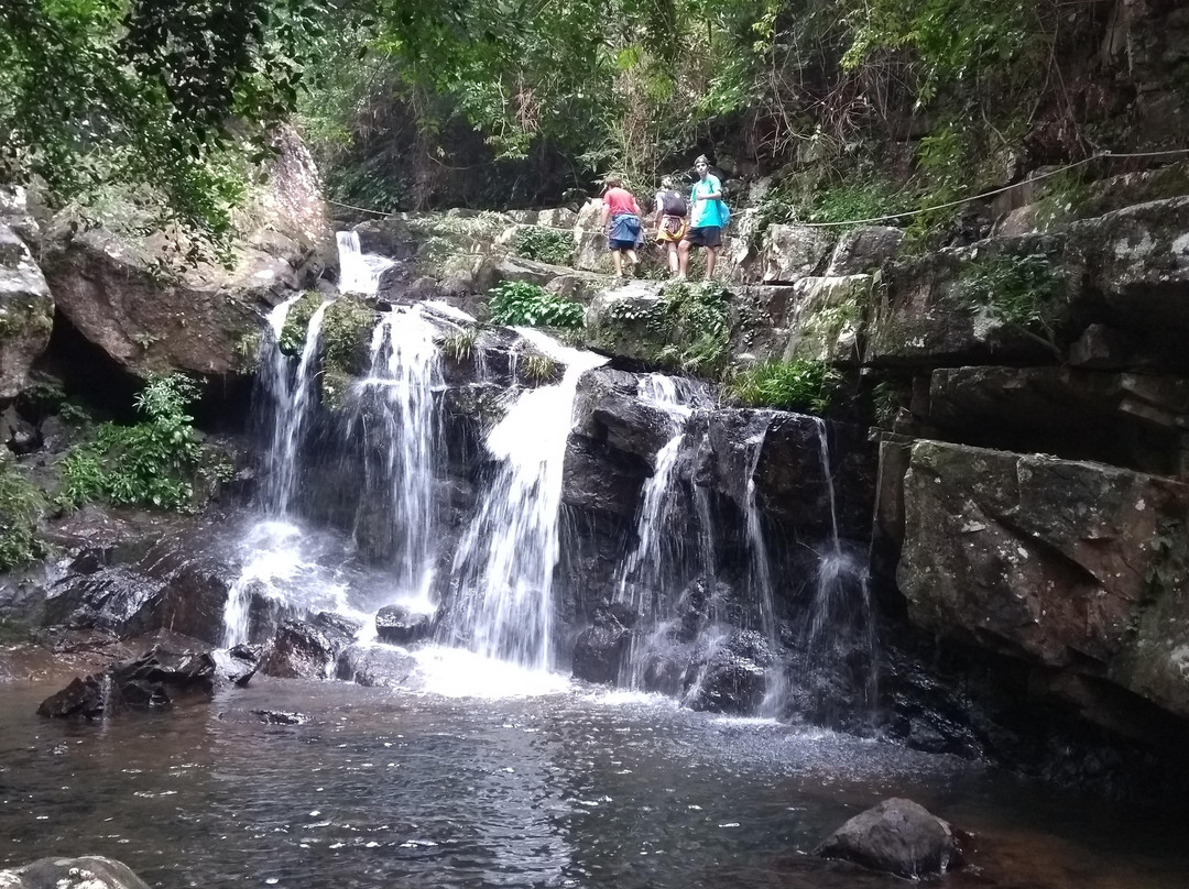 Phong Nha Botanic Garden景点图片