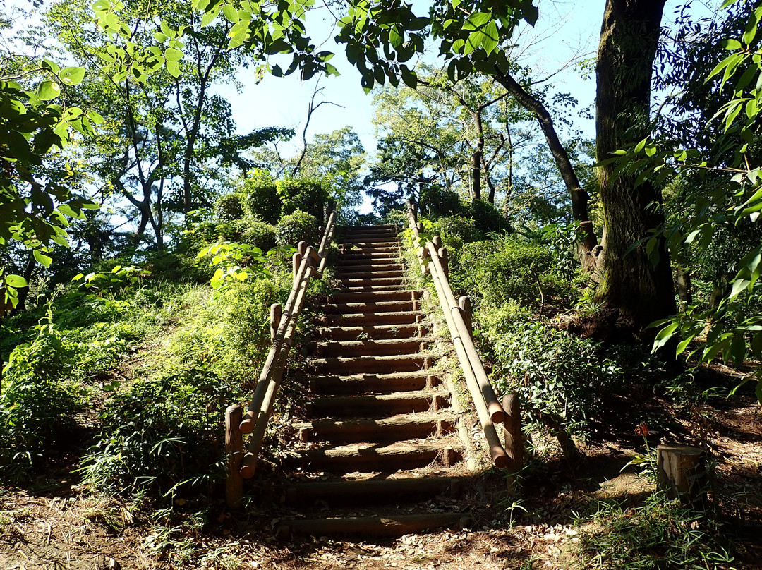 Yono Park-埼玉市必去景点