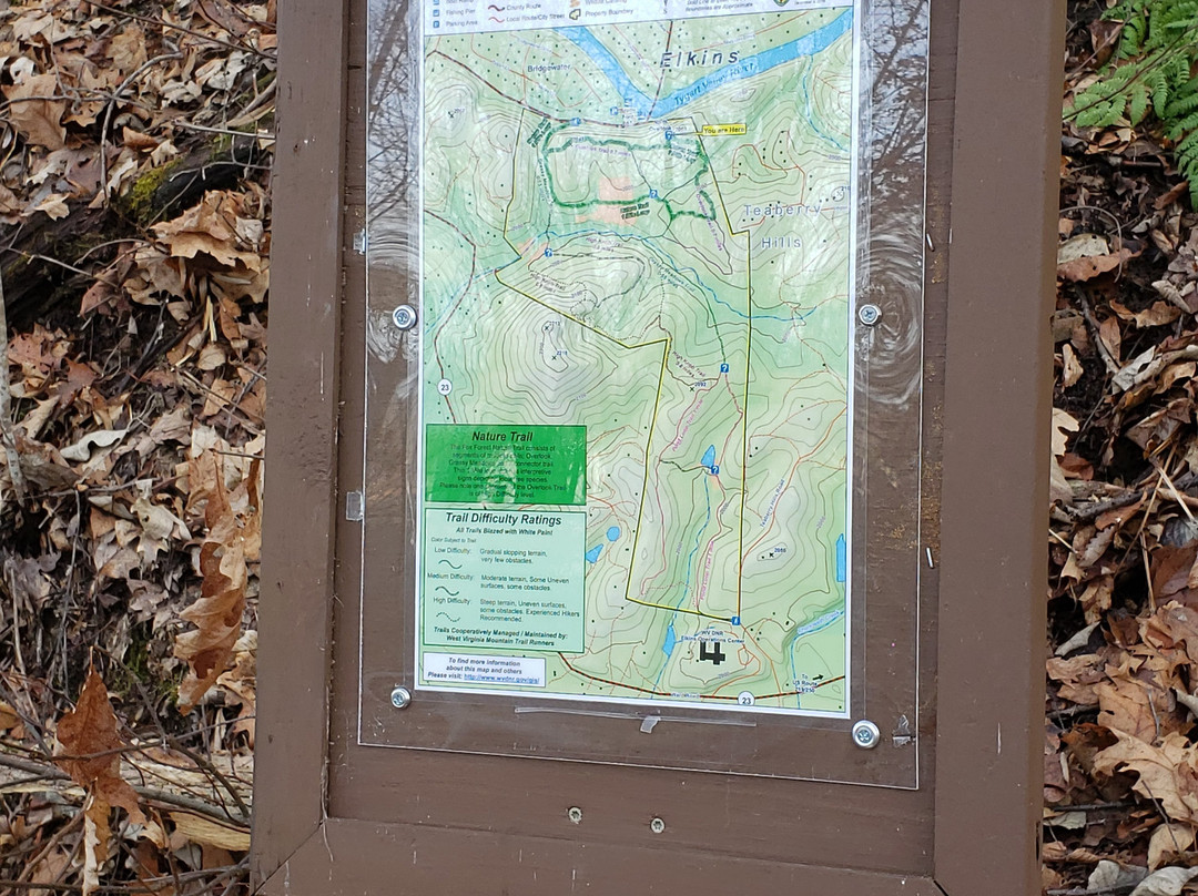 Fox Forest Wildlife Management Area-Elkins必去景点