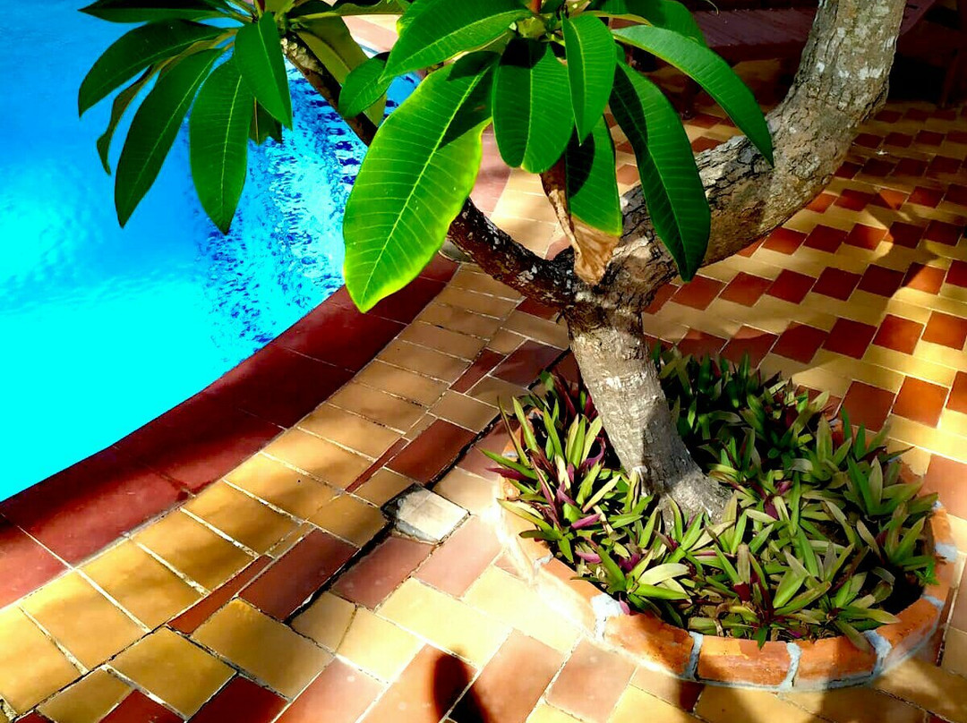 Sky Guest House