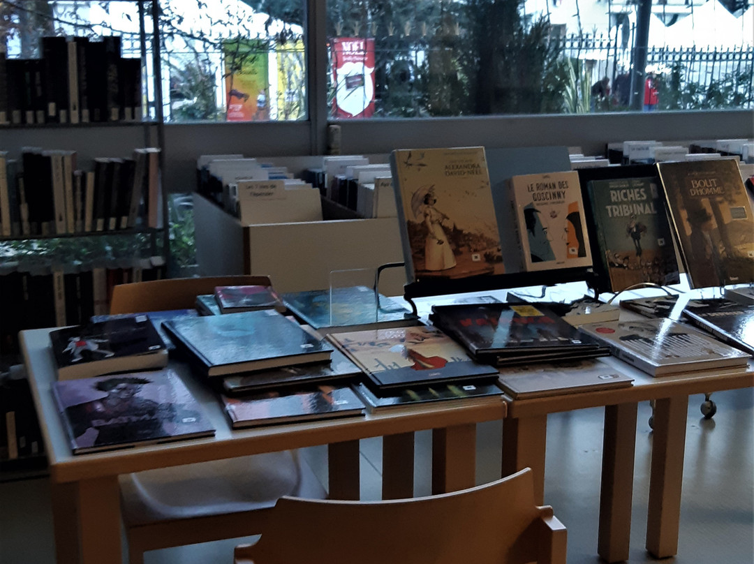 Bibliothèque Guy de Maupassant-讷伊普莱桑斯必去景点