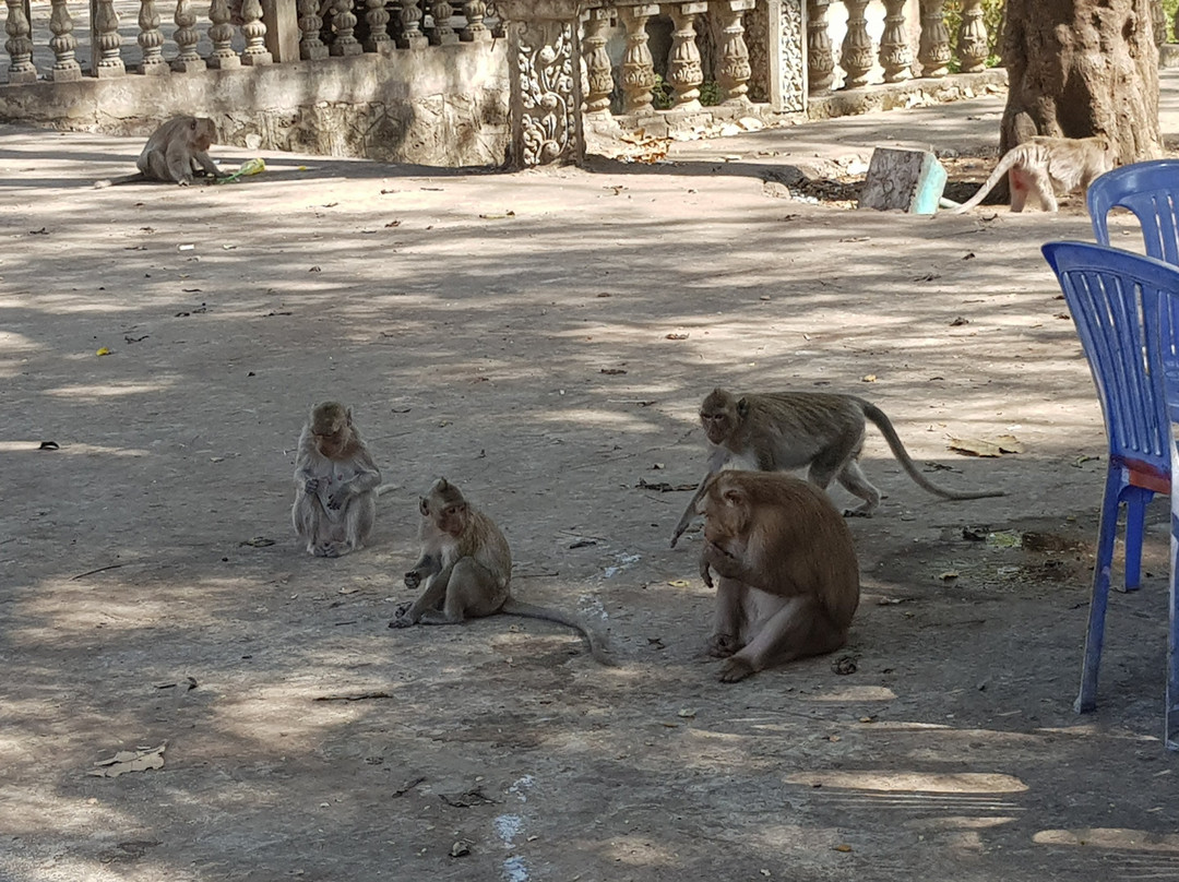 Phnom Srey and Phnom Pros-磅湛必去景点