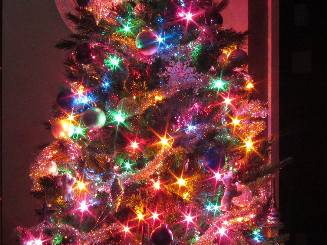 The Chauffeur of Positano-波西塔诺必去景点