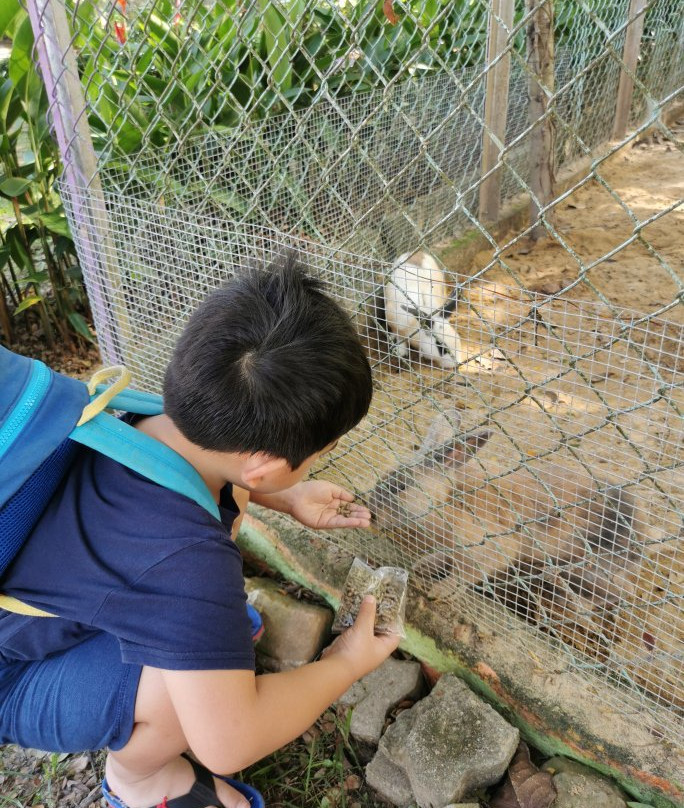 Labuan Bird Park景点图片