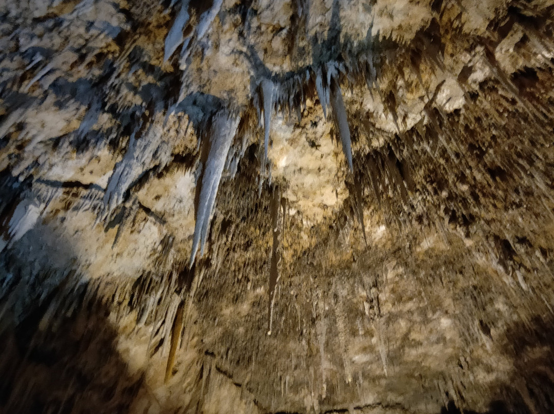 Ngilgi Cave Ancient Lands Experience景点图片