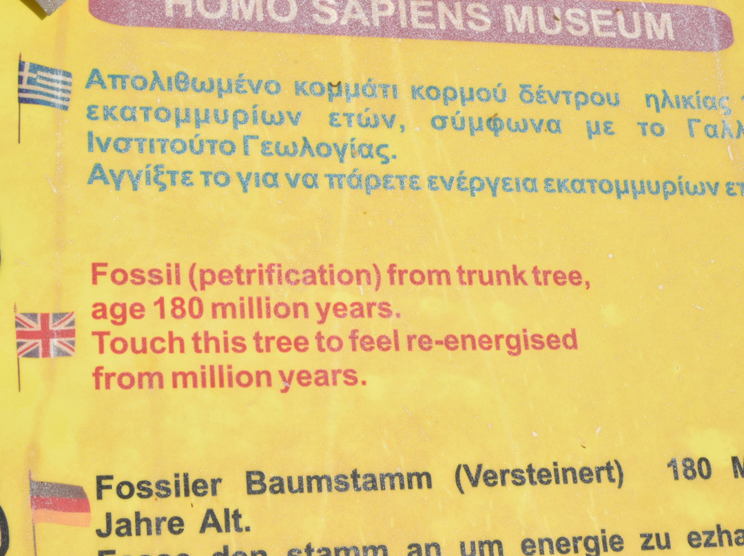 Homo Sapiens Museum景点图片