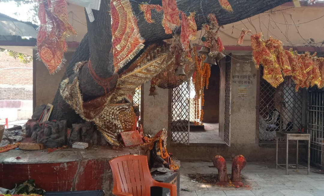 Mangla Gauri Temple-加雅岛必去景点