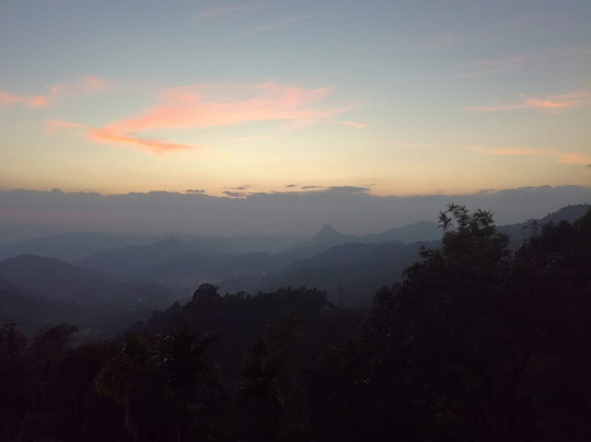 Grace Inn Homestay Munnar主图