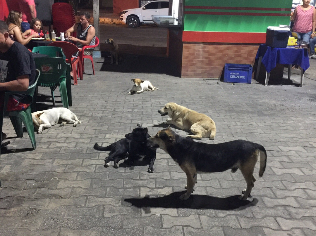Praça da Integração-Cruzeiro do Sul必去景点