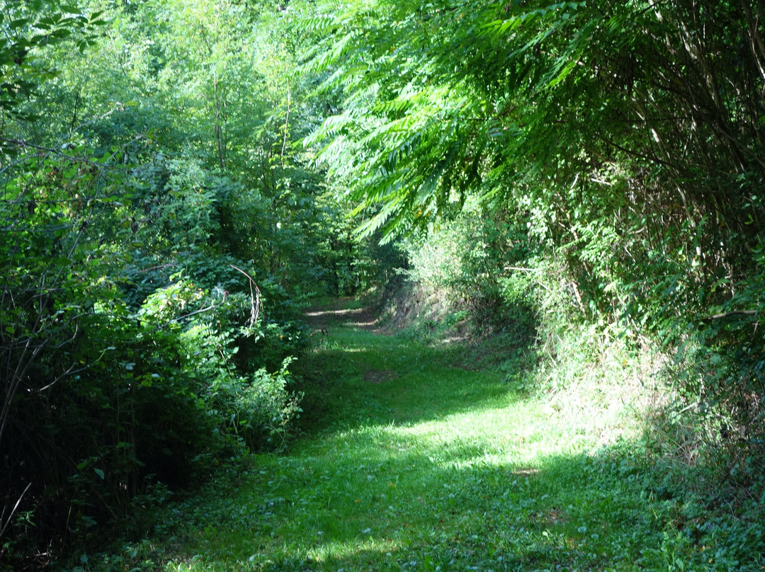 Tourismusverband Region Bad Gleichenberg-泉格莱兴山必去景点