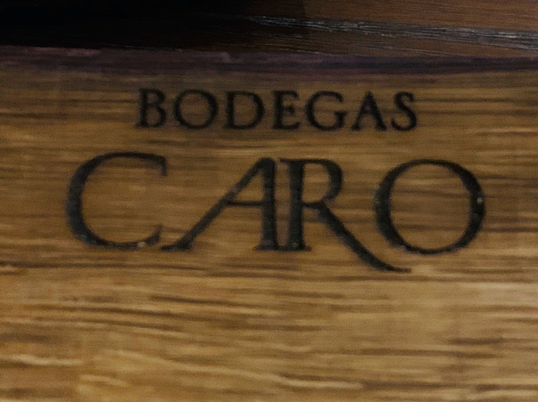 Bodegas CARO景点图片