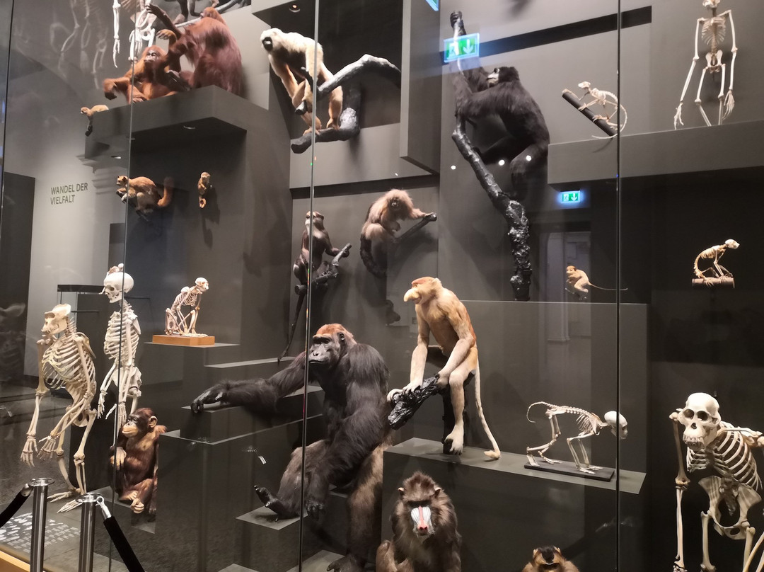 Hessisches Landesmuseum Darmstadt-达姆施塔特行政区必去景点