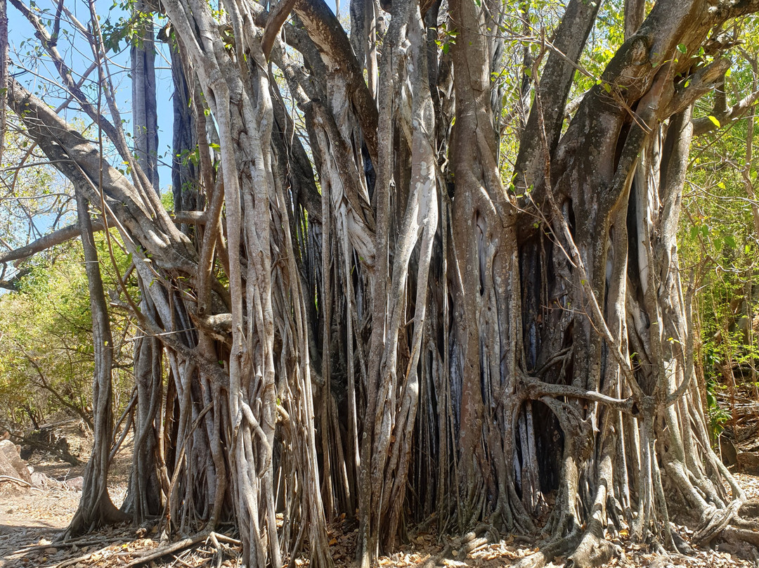Ïlet Chancel-Le Robert必去景点