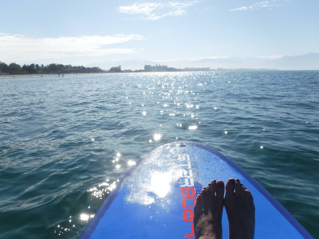 Hotel Palmeras主图