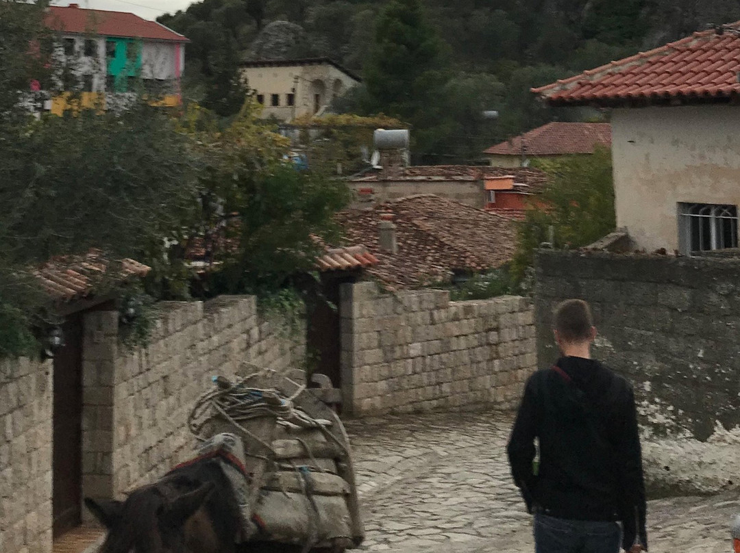 Petrela Castle-Petrele必去景点