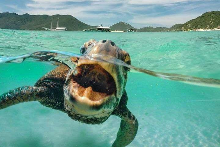 Martins Tour-阿拉伊阿尔港必去景点