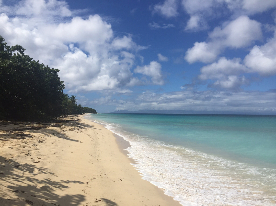 Anse de Mays-Marie-Galante必去景点