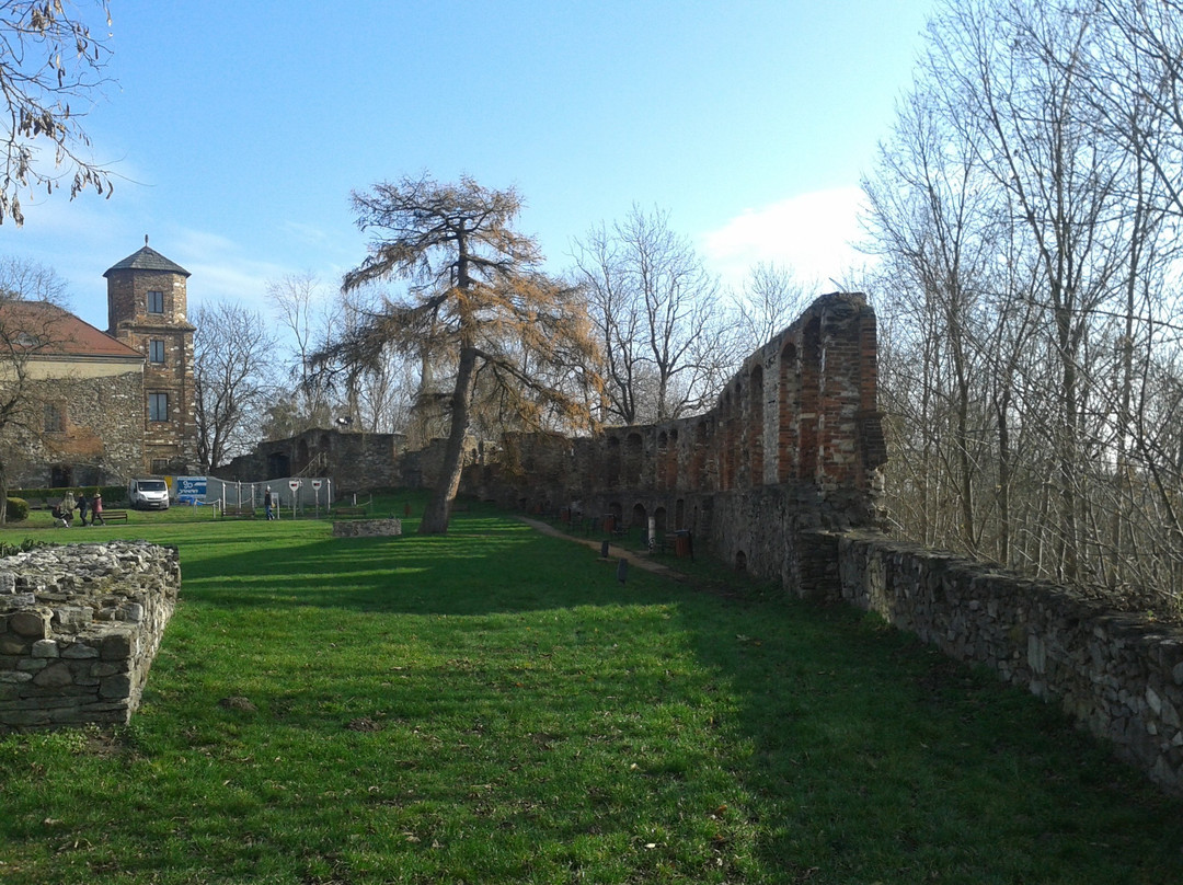 Toszek Castle景点图片