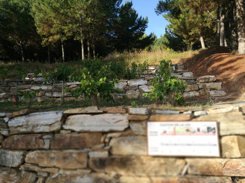 CIVI Camponaraya-Camponaraya必去景点