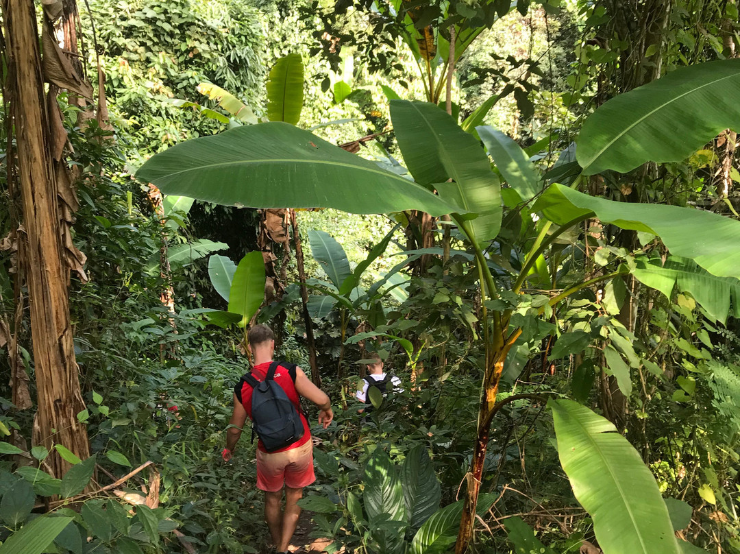 Panda Tour & Trekking-清迈必去景点
