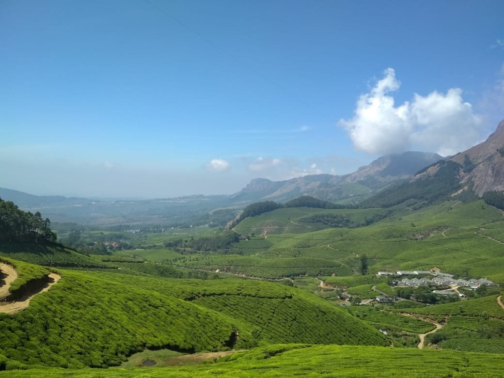 Trip My Kerala-柯钦必去景点