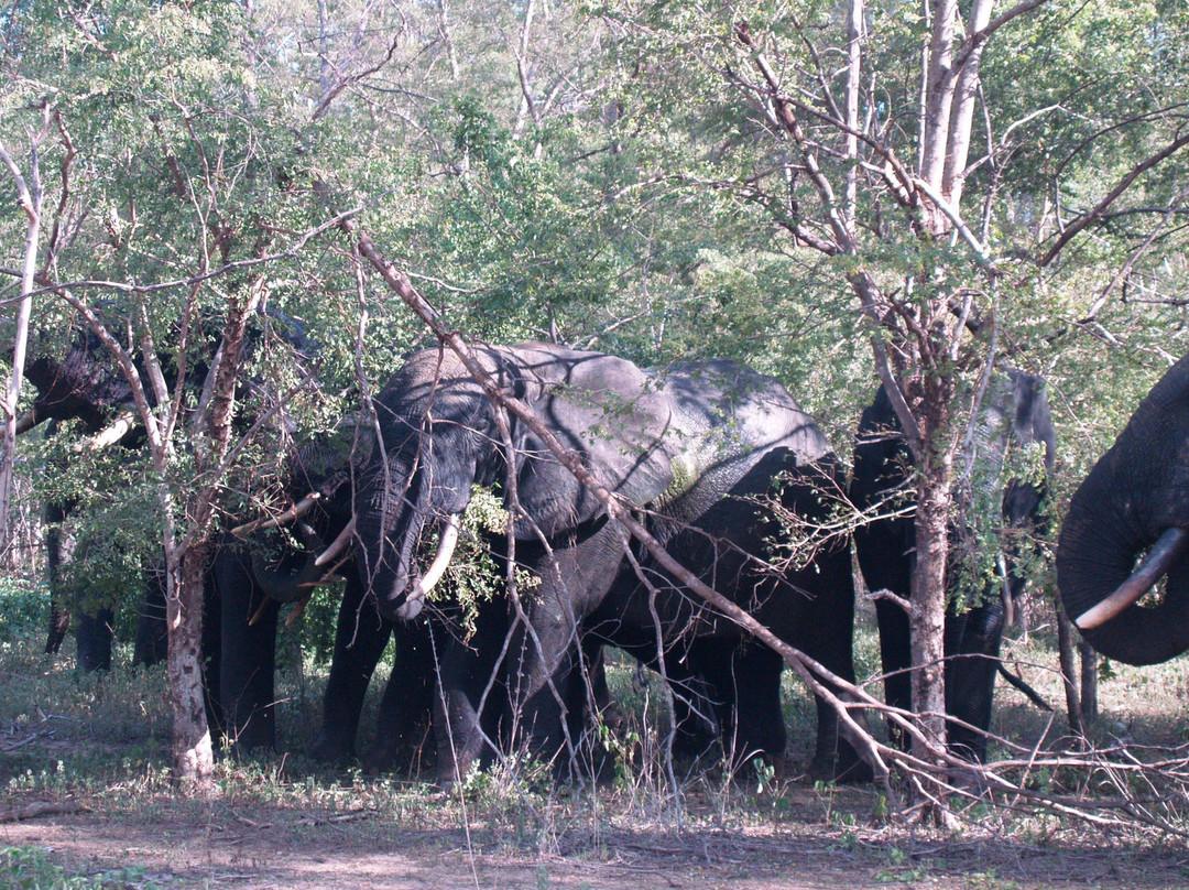 Star Tours Ghana-Cape Coast必去景点