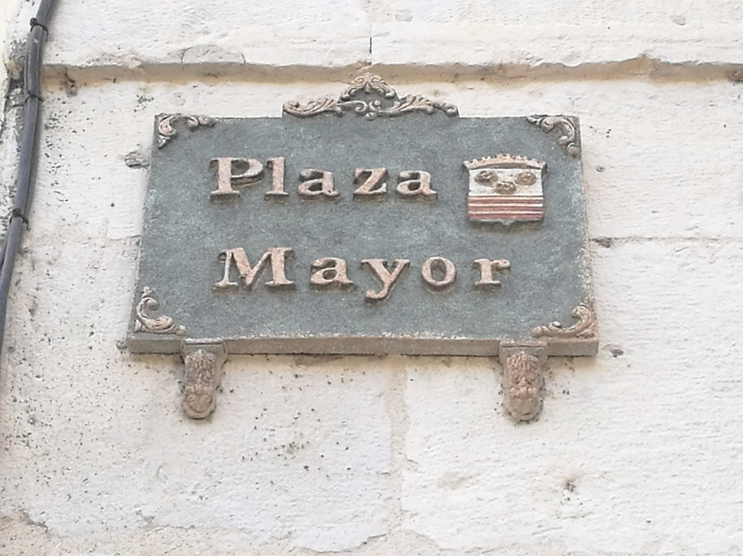 Plaza Mayor景点图片