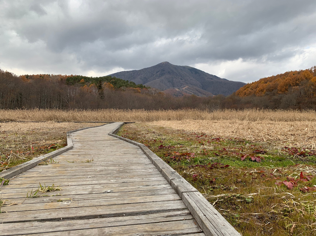 Iizuna Highlands Oyachi Marsh景点图片