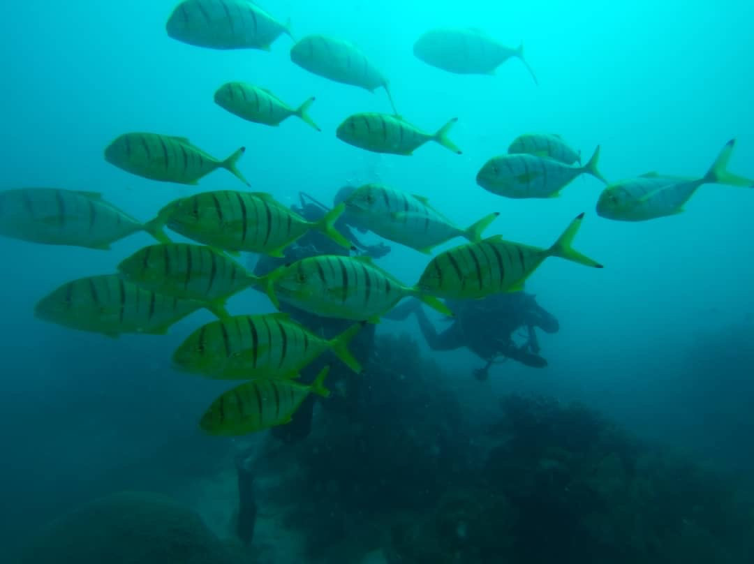 Scuba Do Zanzibar-Kendwa必去景点