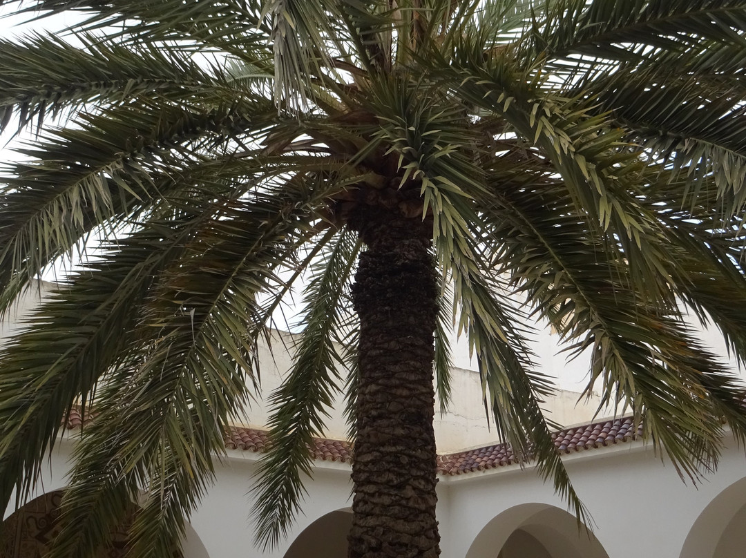 伊尔捷博物馆-艾尔杰姆必去景点