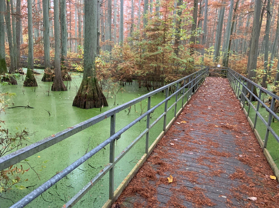 Heron Pond Preserve-Belknap必去景点