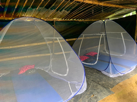 Sumatran Adventure-武吉拉旺必去景点