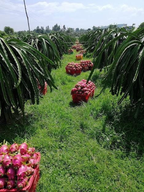 My Tam Travel-美奈必去景点