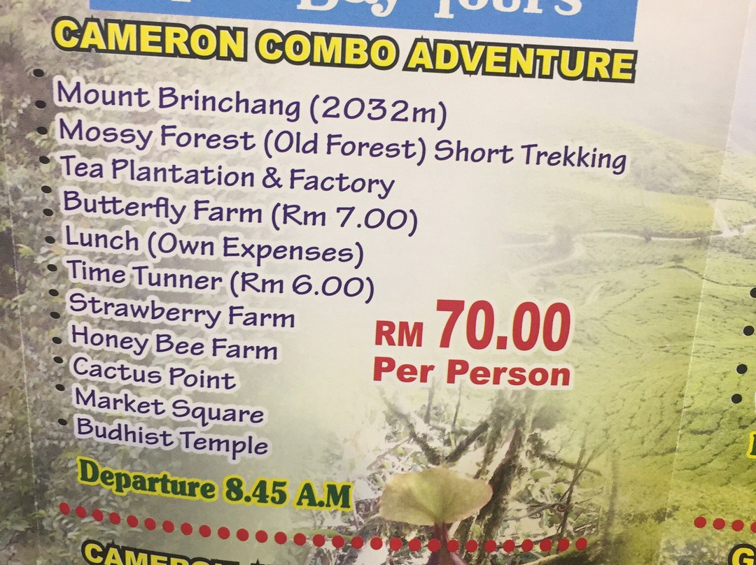 Cameron Holiday Tours and Adventure景点图片
