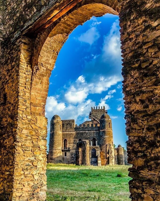 Simien Mountain Trekking and Tours景点图片