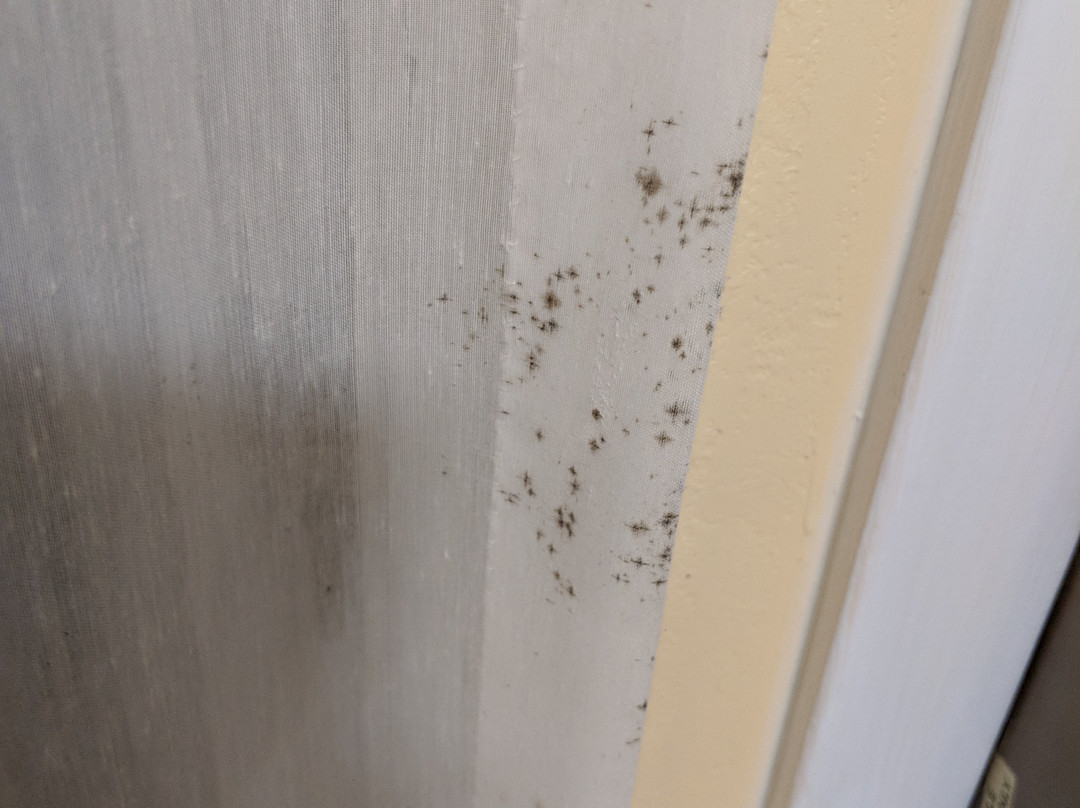 蓝色海豚旅馆主图