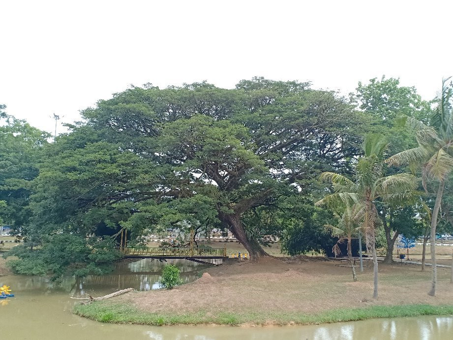 Jempol Lake Garden-Bahau必去景点