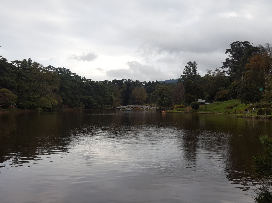 Ward's Lake景点图片