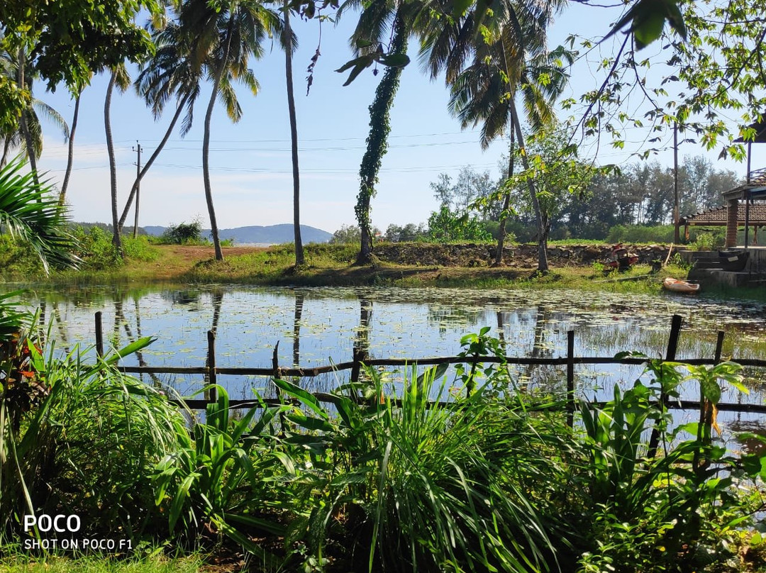 Ocean Deck Beach Homestay主图