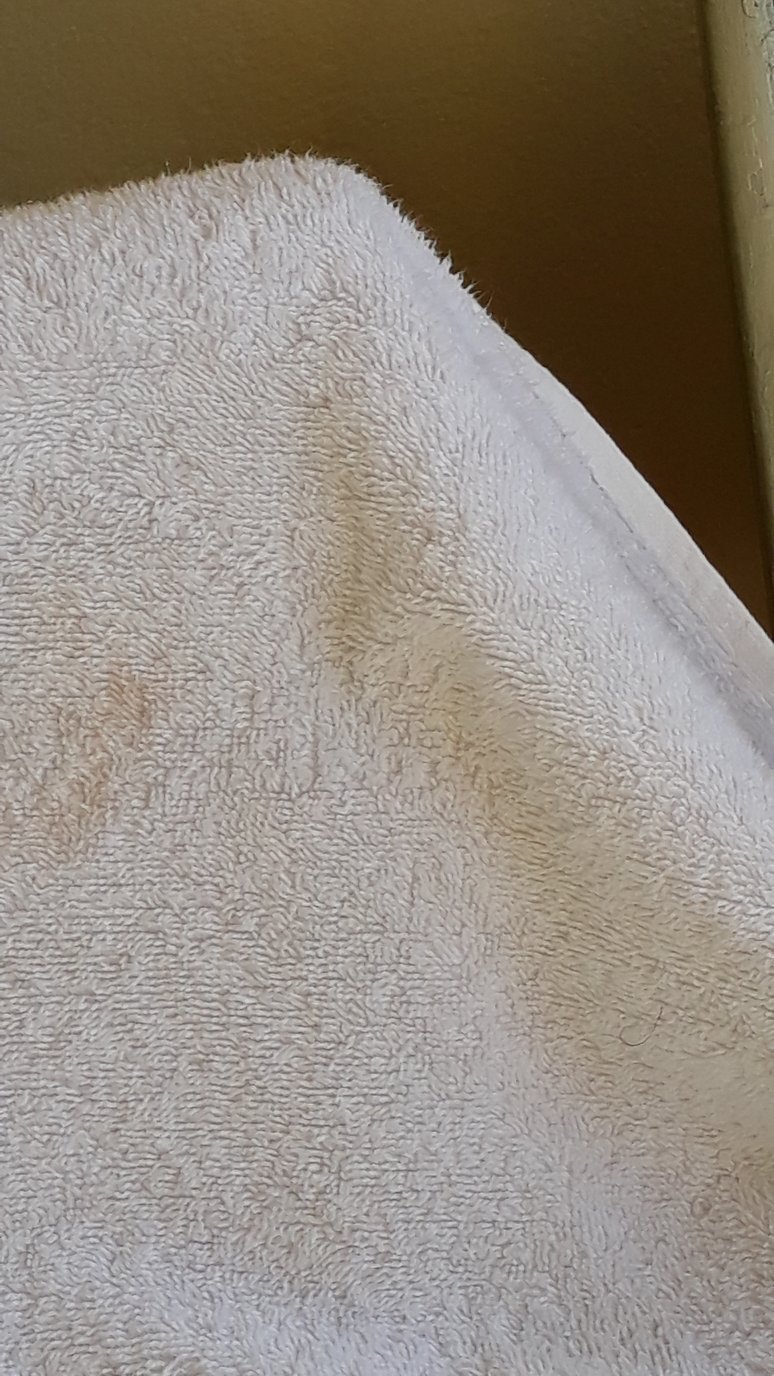 Golden Sand Hotel-官方