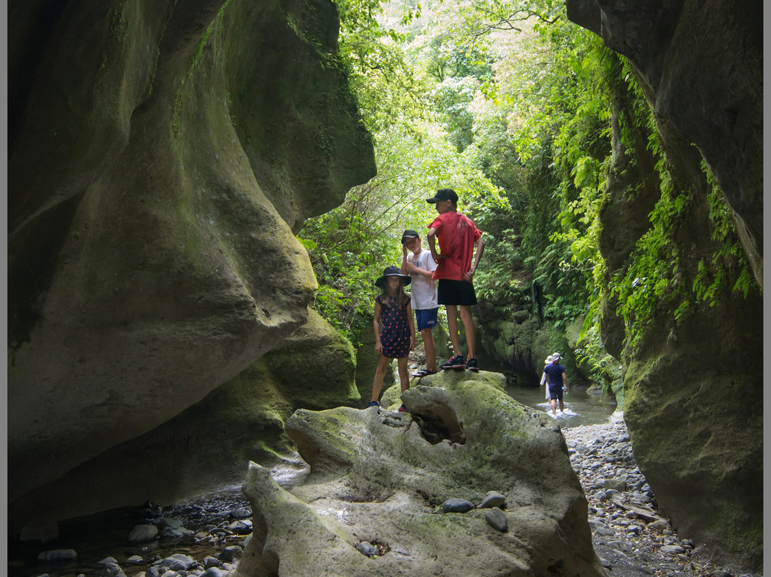 Patuna Farm Adventures景点图片