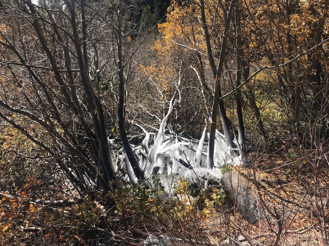 Vikingsholm Hiking Trail-南太浩湖必去景点