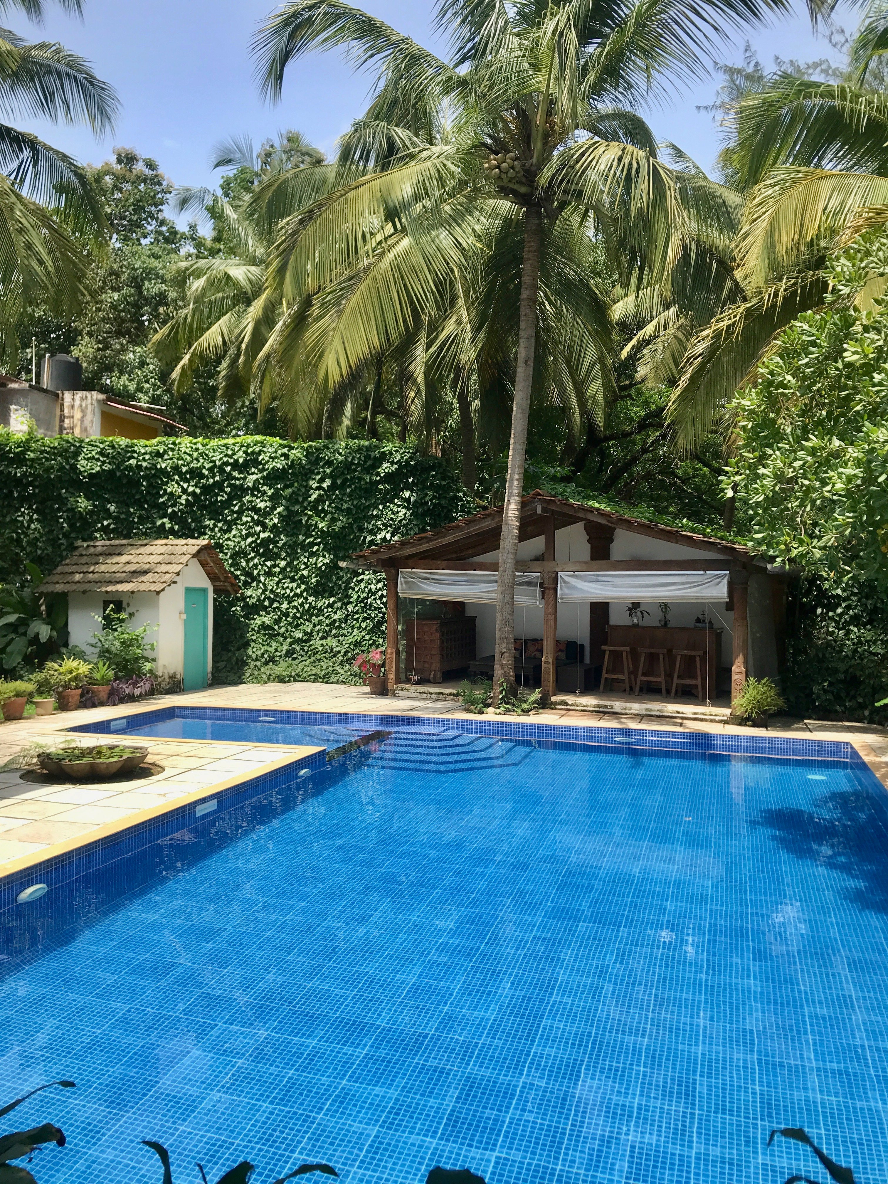 Island House Goa-泳池