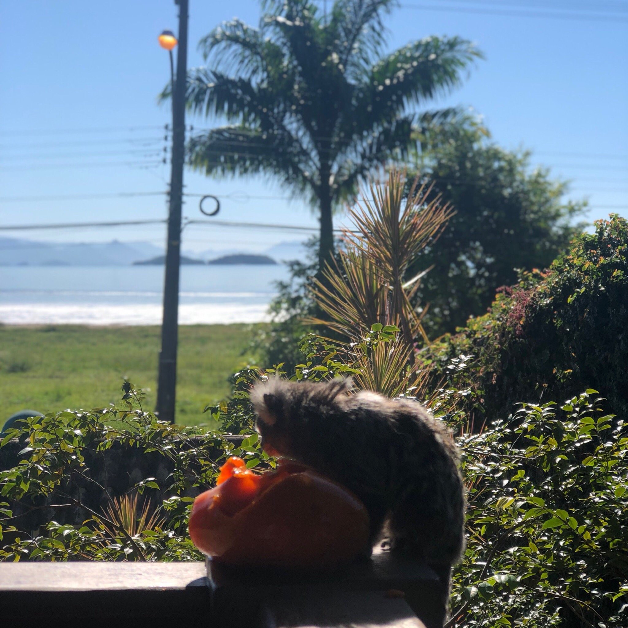Praia Serena-官方
