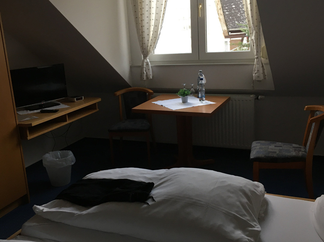 Hotel Lindenhof主图