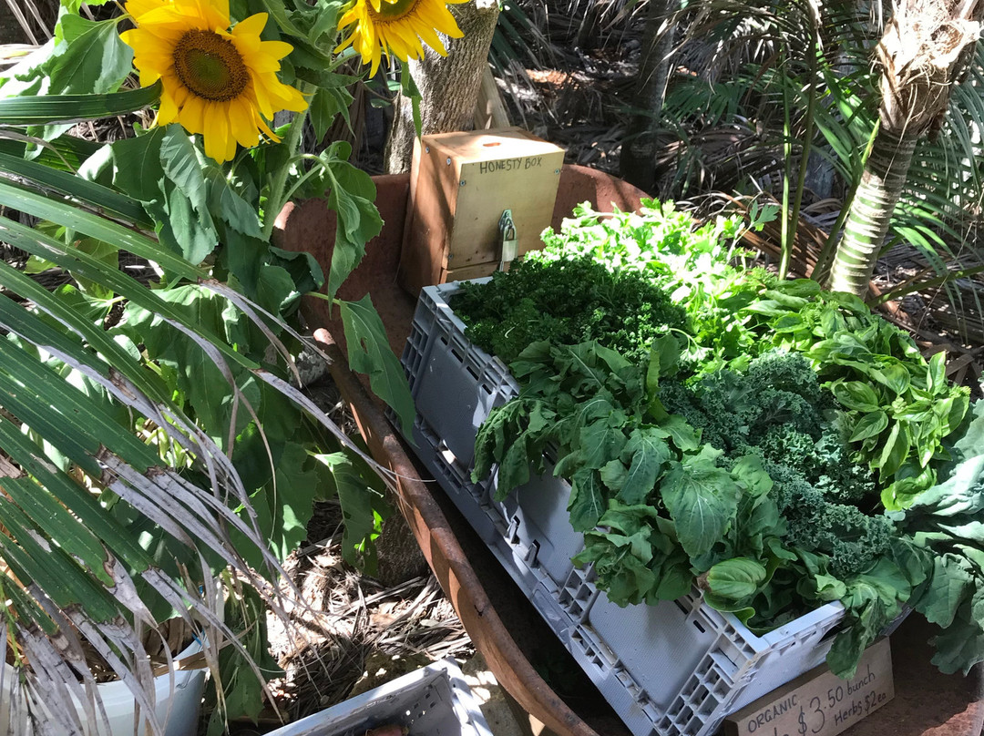 Thornleigh Farm-豪勋爵群岛必去景点